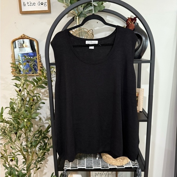 Diane Von Furstenberg Tops - Diane Von Furstenberg Elegant Black Tank Top plus size 3x silk assets